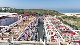 צילום: אבי אריוש